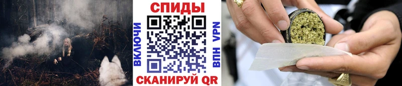 Купить Ельня БУТИРАТ BDO