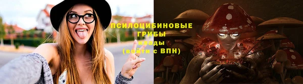 гидропоника Барнаул