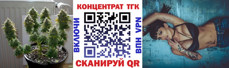 Купить где  Ельня  ТГК жижа 
