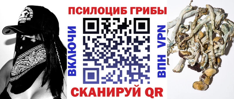 Галлюциногенные грибы Cubensis  Купить где  Ельня 