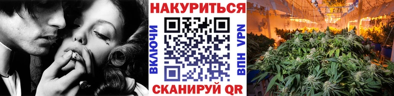 Каннабис SATIVA & INDICA  Купить закладки  Ельня 